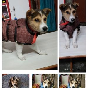 Meet your Posher, Ritam